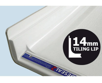 Eagle Two Level Access Shower Trays